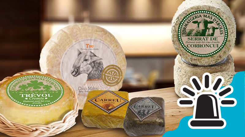 Alertar: retirada 4 quesos de leche cruda de oveja